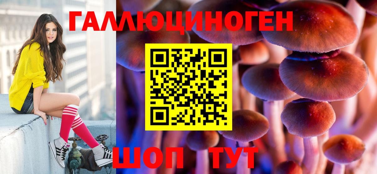 где купить наркотик  Галлюциногенные грибы Psilocybine cubensis  Вход с VPN  Кириши  Псилоцибиновые грибы ЛСД 
